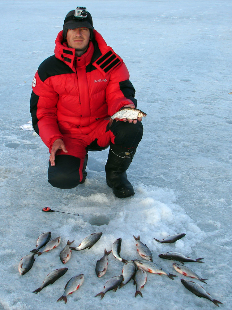 08.jpg